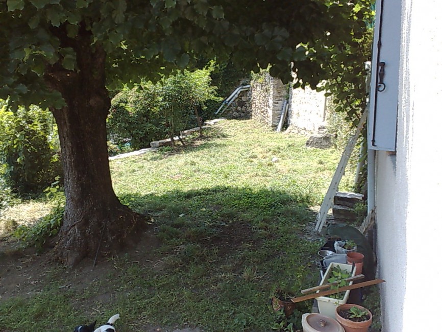 B_257_p4.jpg